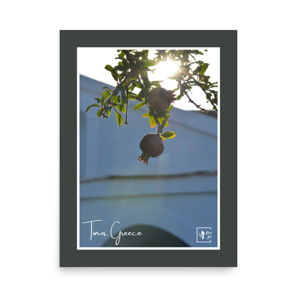 Tinos Pomegranate Photo Poster